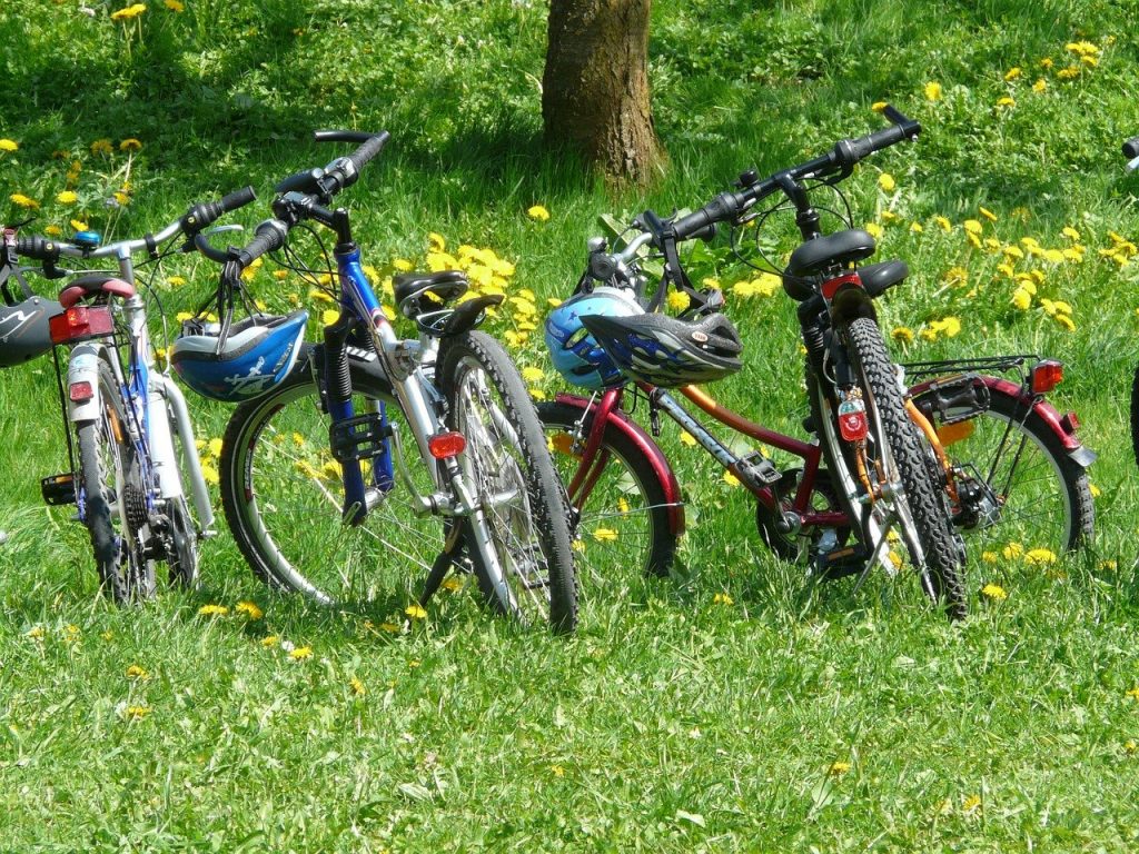 Fahrräder in einen Waldlandschaft